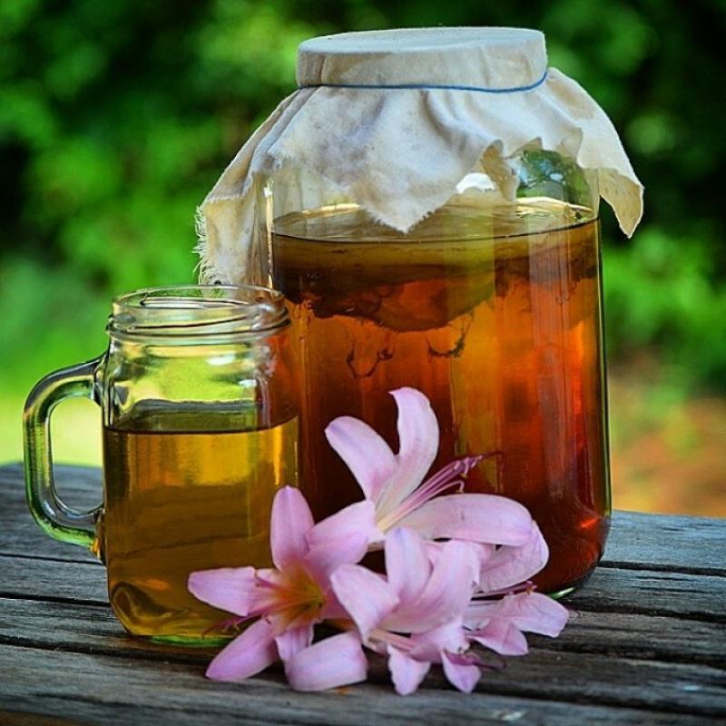 Kombucha