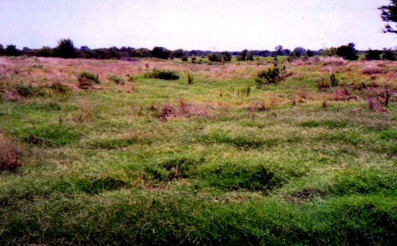 Land restoration is a process of restoring the natural landscape design, construction, and maintenance. This process is usually used for damage caused by natural disasters. Land restoration helps to enhance the ecosystem services, repair a damaged land, Land restoration is a process of restoring the natural landscape design, construction, and maintenance. This process is usually used for damage caused by natural disasters. Land restoration helps to enhance the ecosystem services, repair a damaged land,