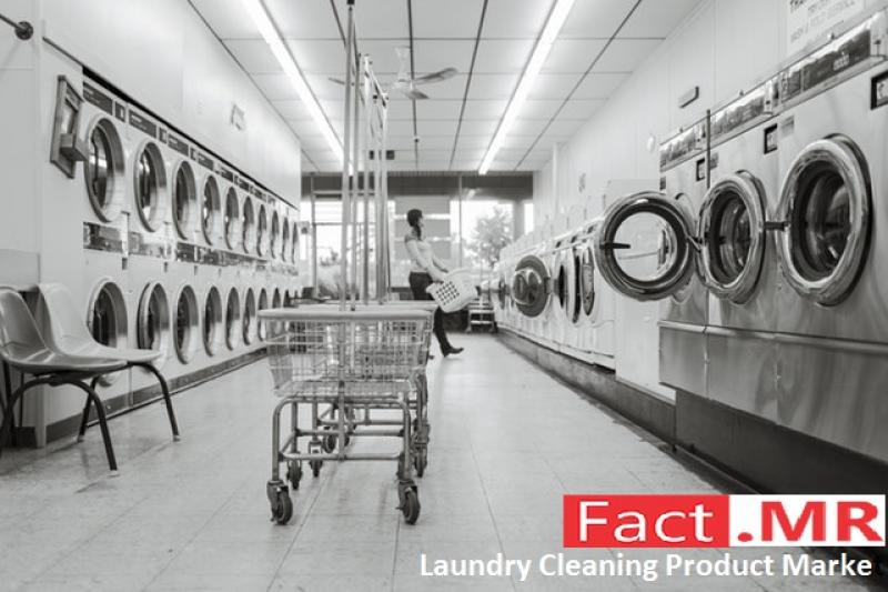 Laundry Cleaning Product Market- Fact.MR