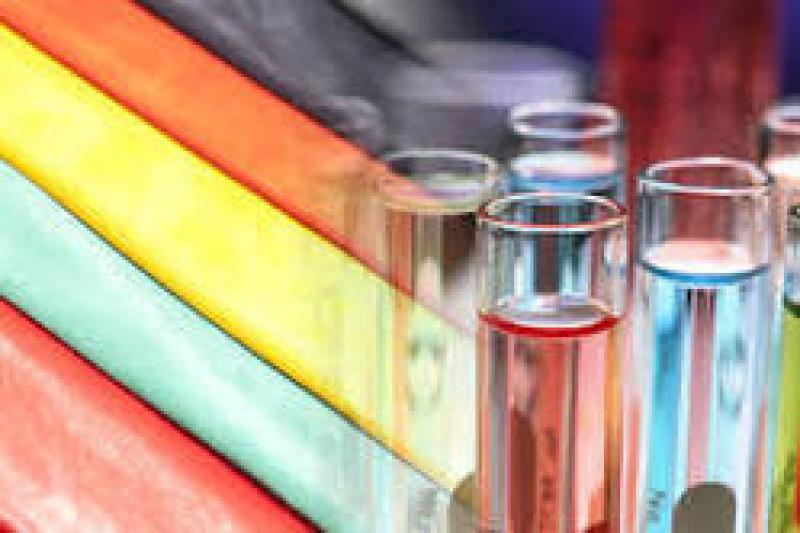 Leather Chemicals Market 