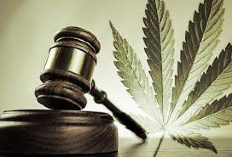 Global Legal Cannabis Market Professional Survey Report 2018 Legal Cannabis