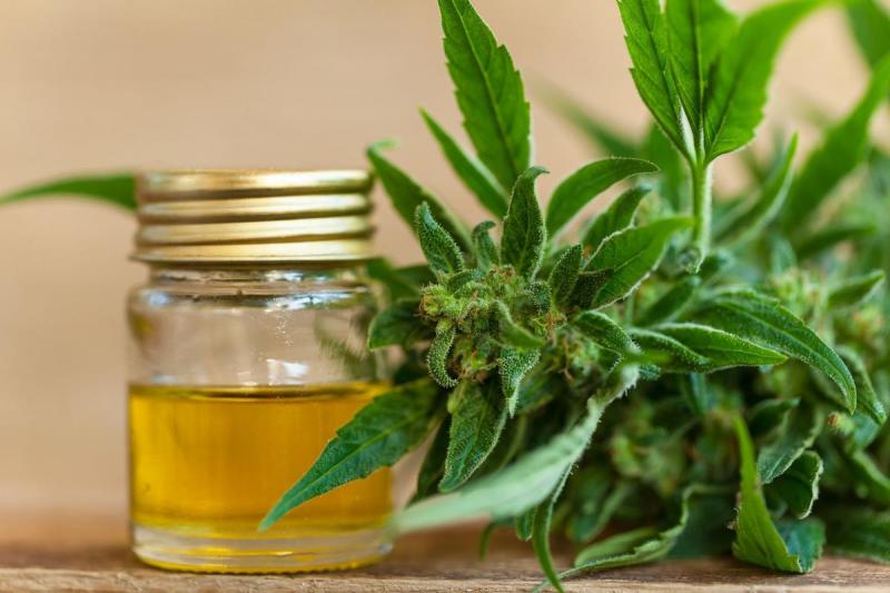 Legal Marijuana Market