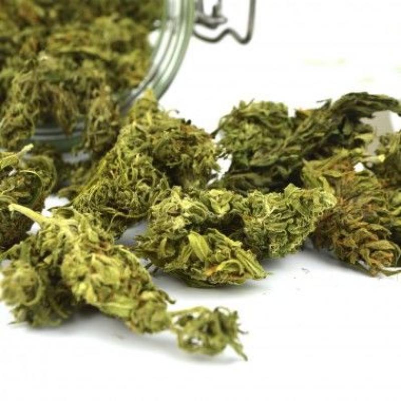 Legal Marijuana Market