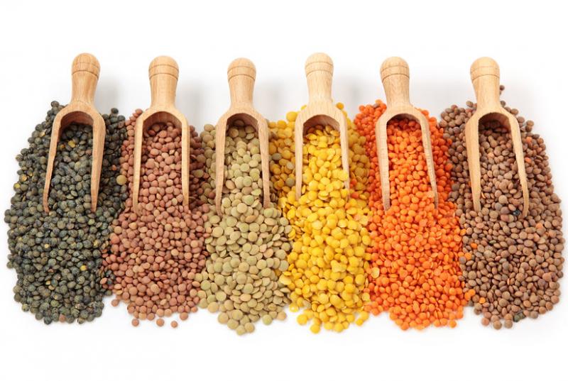 Lentils Market
