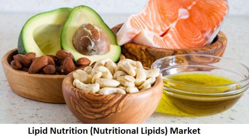 Lipid Nutrition