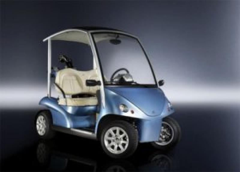 Low-speed Electric Vehicle Industry