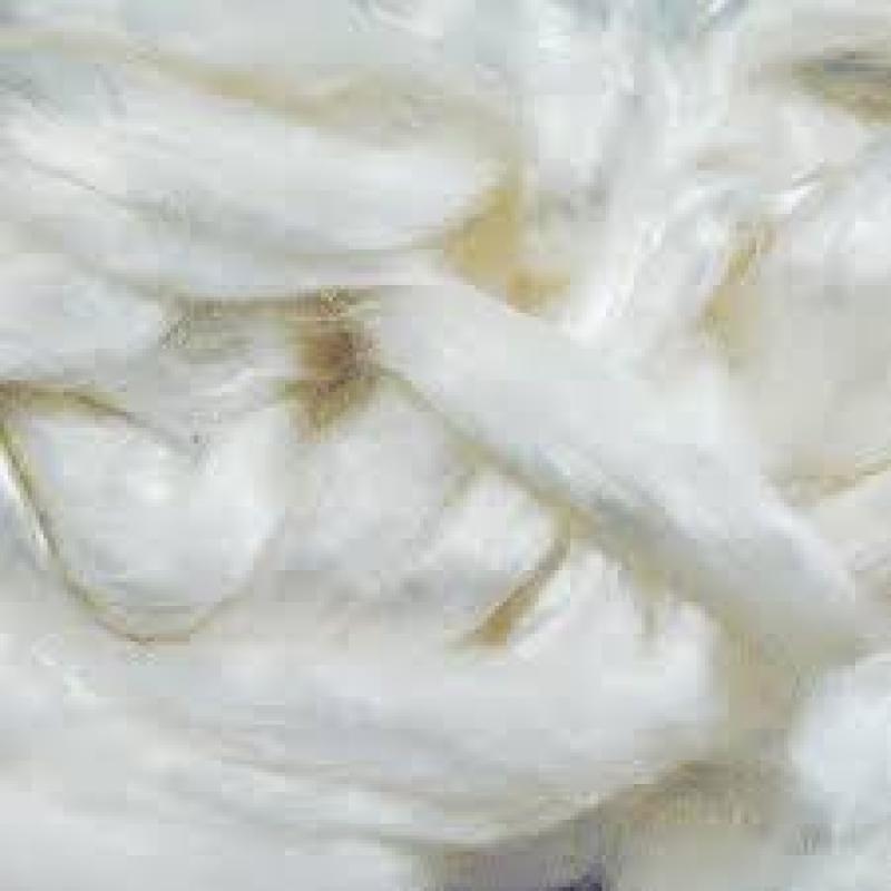 Lyocell Fiber Market