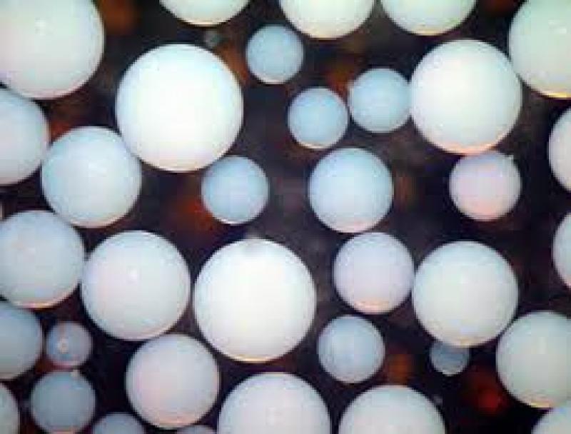 Macroporous Adsorption Resins