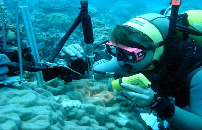 Marine Biotechnology