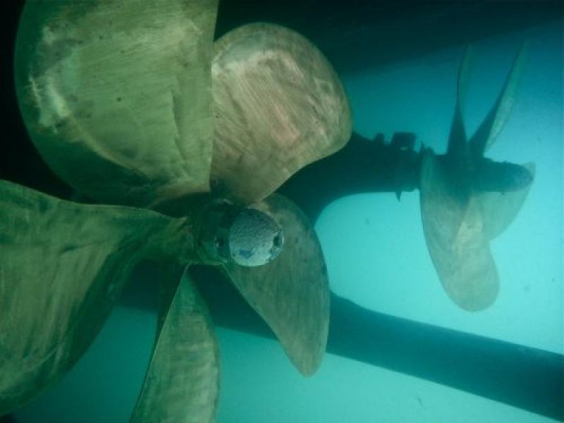 Marine Propeller Market