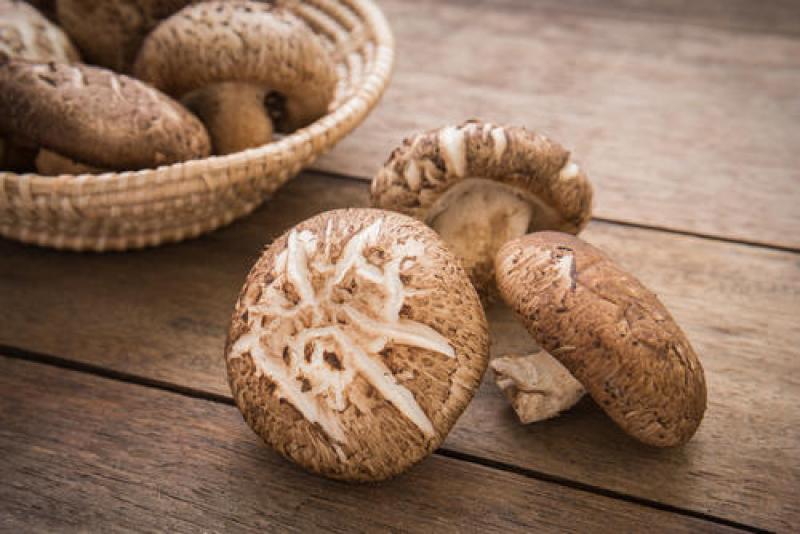 Medicinal Mushroom Extracts