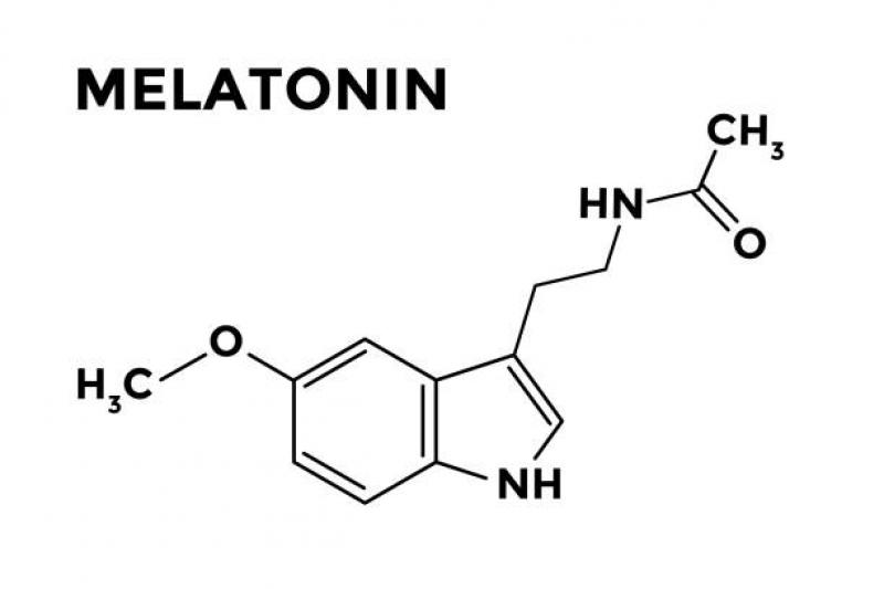 Melatonin Market 