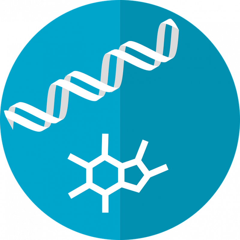 Metabolomics Market Share, Restraints, Segments And Regions