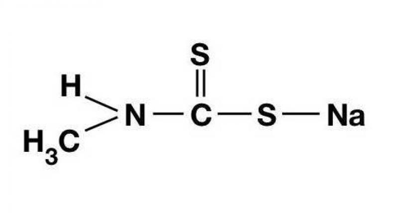 Metam Sodium Market