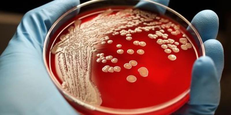 Methicillin-Resistant Staphylococcus Aureus (MRSA) Drugs Market