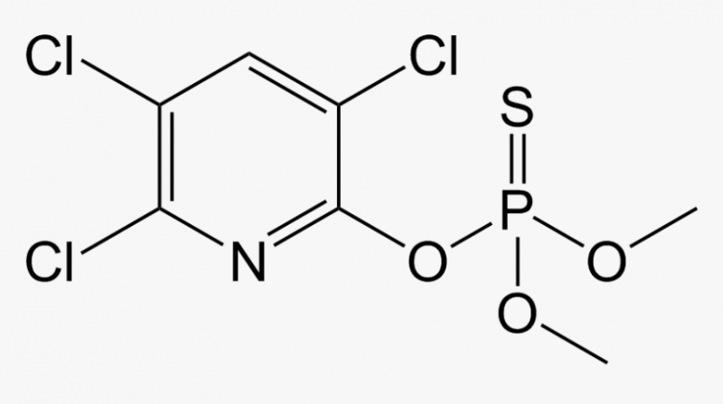 Methyl Myristate Market