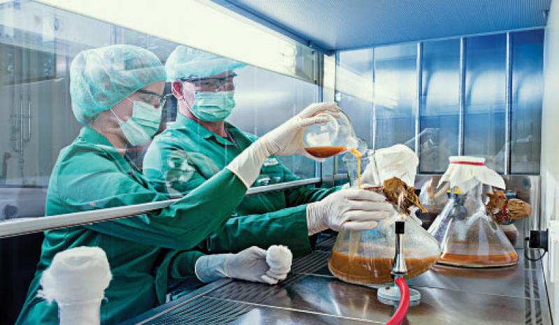 Microbial Fermentation APIs, Microbial Fermentation APIs Market, Microbial Fermentation APIs Market Growth