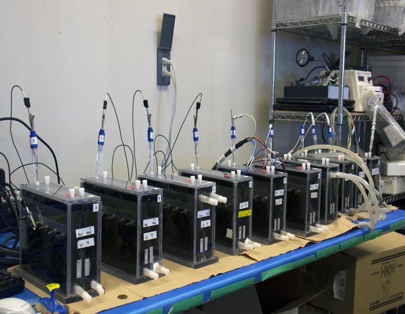 Microbial Fuel Cell, Microbial Fuel Cell Market, Microbial Fuel Cell Market Growth