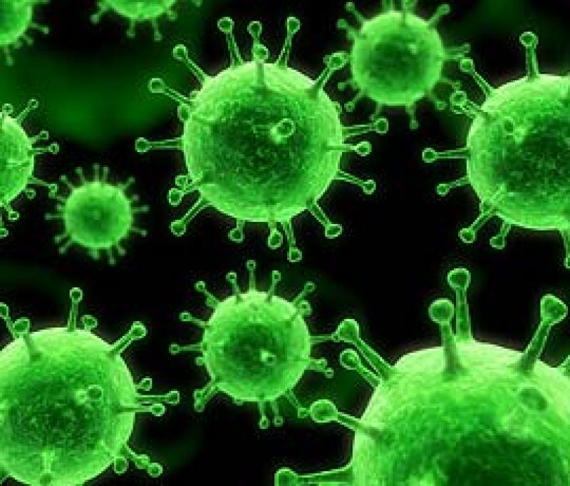 Microbiome Sequencing