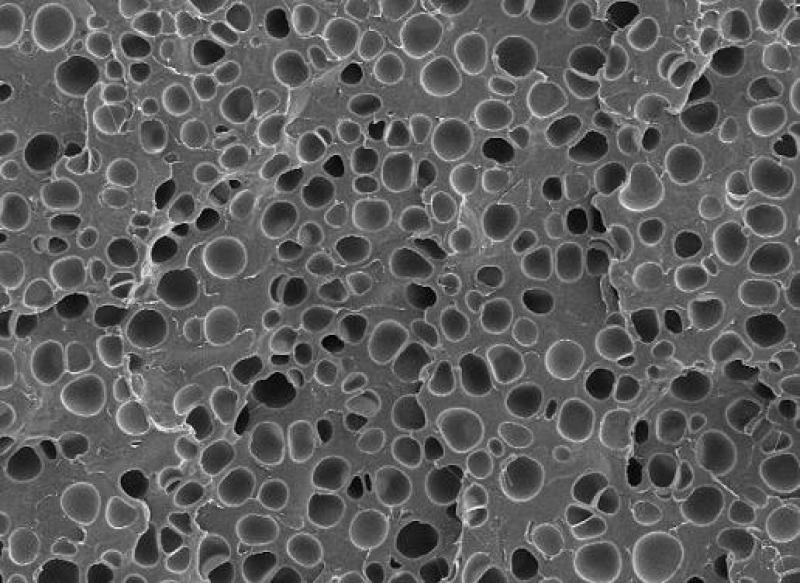 Microcellular Plastics Market