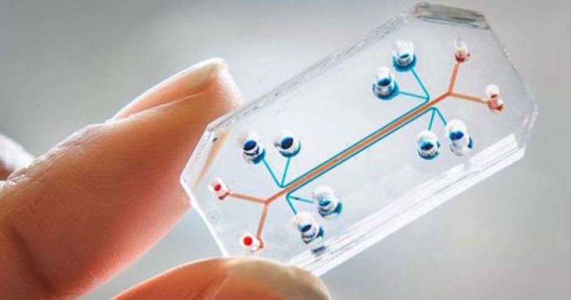 Microfluidic Chips