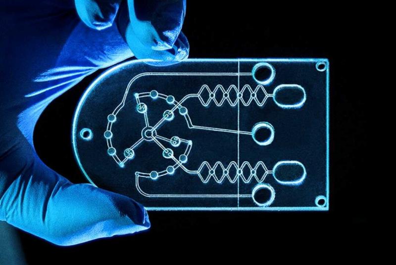 Microfluidics