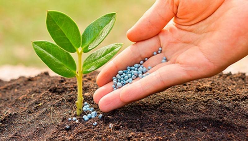 Micronutrient Fertilizers, Micronutrient Fertilizers Market, Micronutrient Fertilizers Market Growth