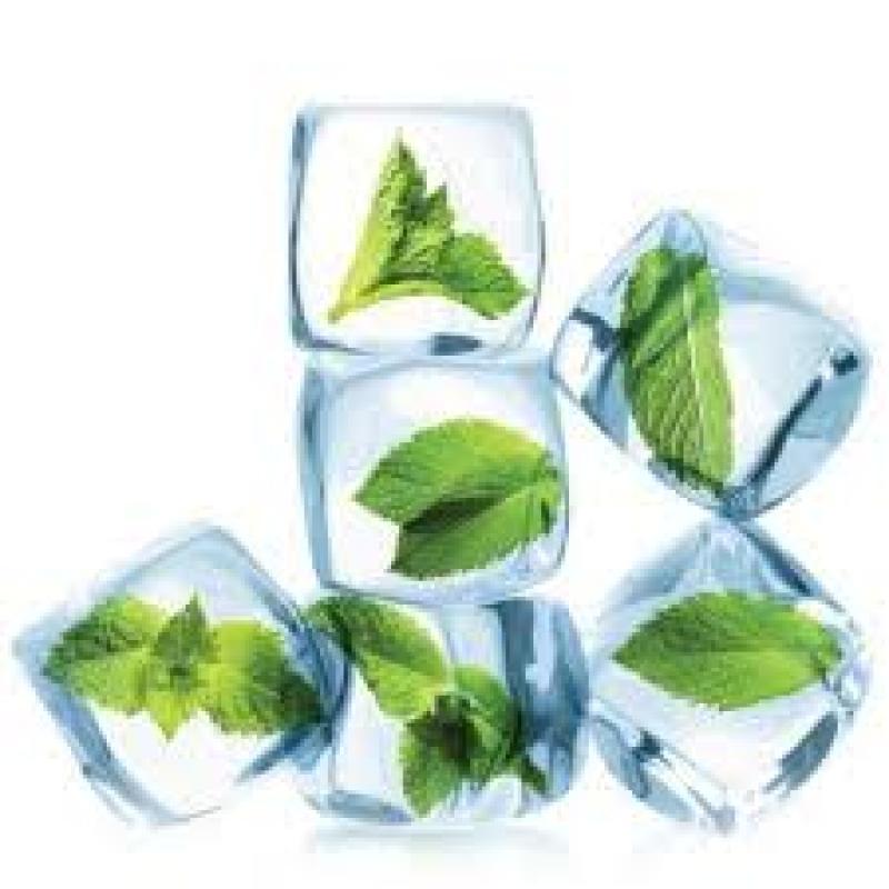 Mint Menthol