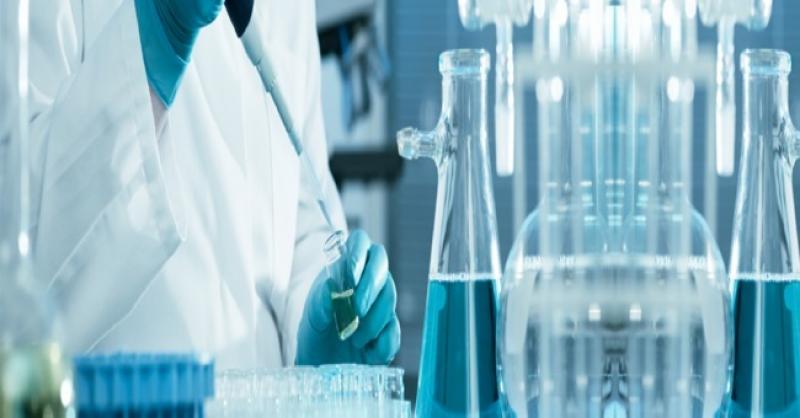Moisture Curing Adhesives market