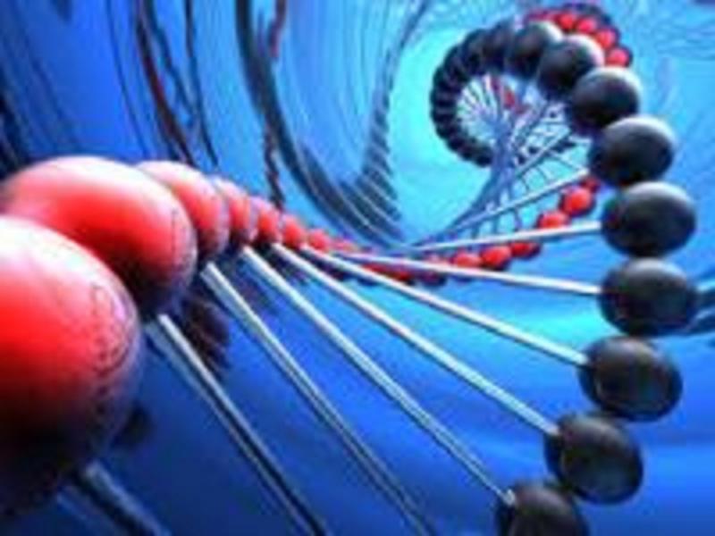 Molecular Biomarkers