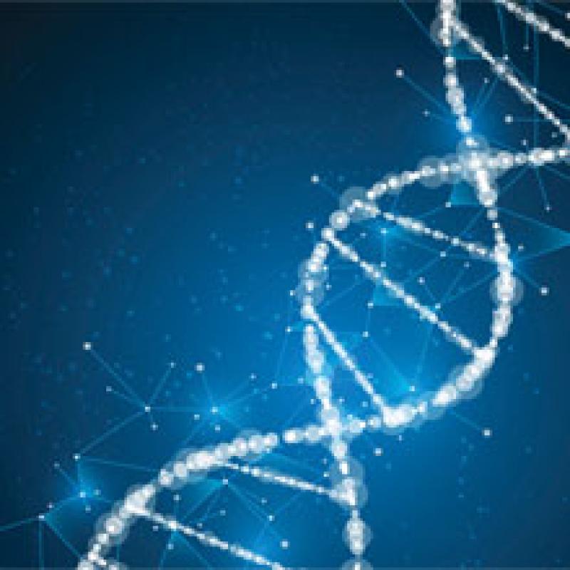 Molecular Cytogenetics