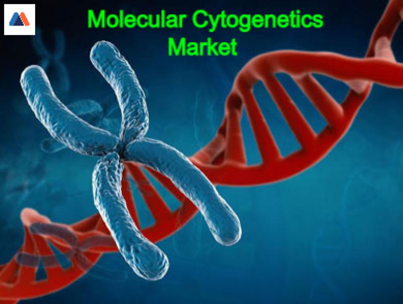 Molecular Cytogenetics 