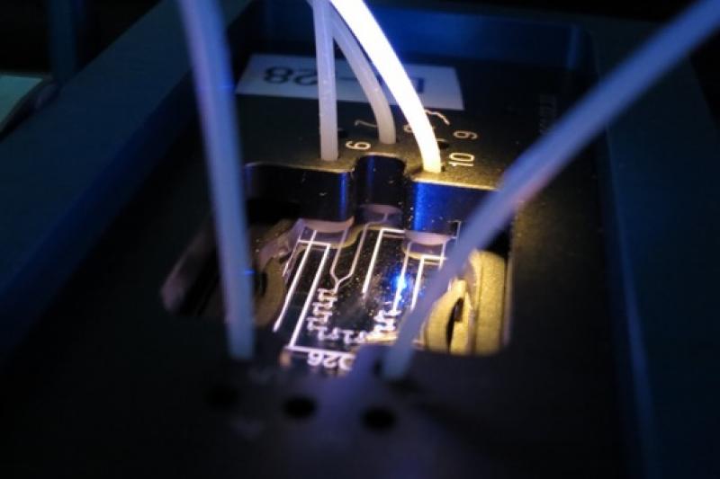 Molecular Diagnostics Systems