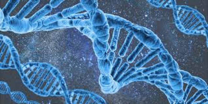 Molecular-Decision Support