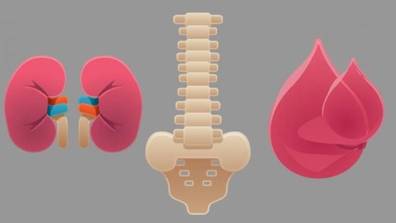 Multiple Myeloma Treatment Market