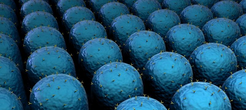 Multiplex Detection Immunoassay 