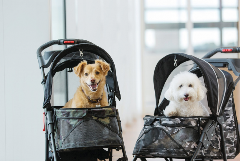 Petique Travel System