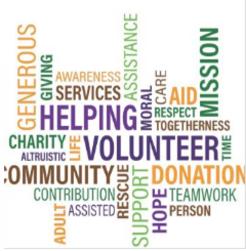 NGOs And Charitable Organizations Market Report 2022 Forecast