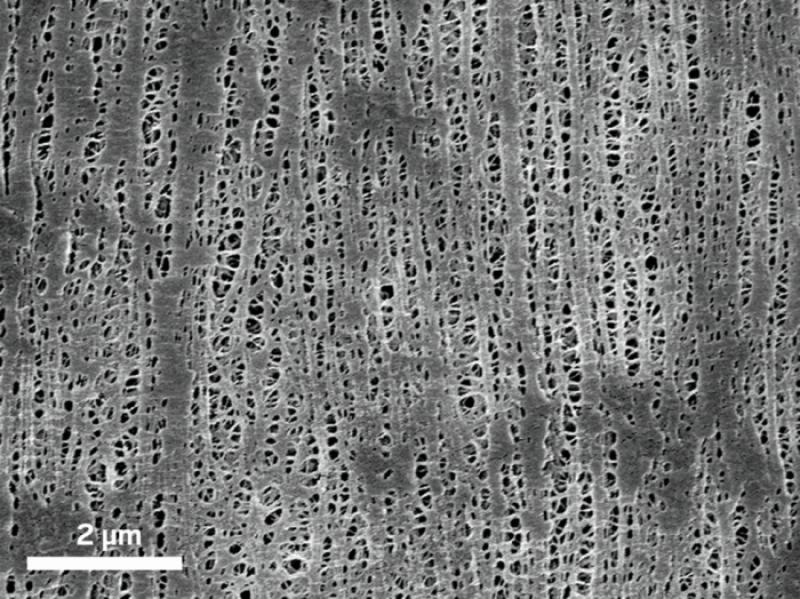 Nano- Porous Material Market