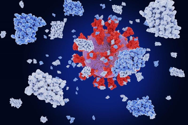 Nanobodies Market