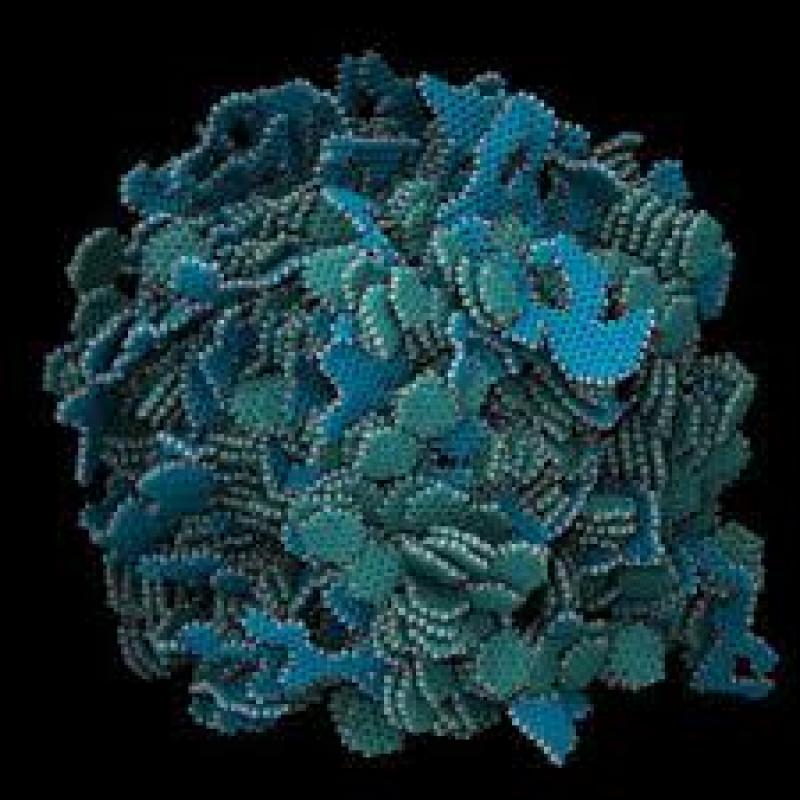 Nanocatalysts