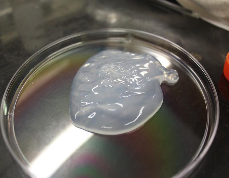 Nanocrystalline Cellulose Market 2018 and In-depth Research on Emerging Growth Factors Nanocrystalline Cellulose, Nanocrystalline Cellulose Market, Nanocrystalline Cellulose Market Growth