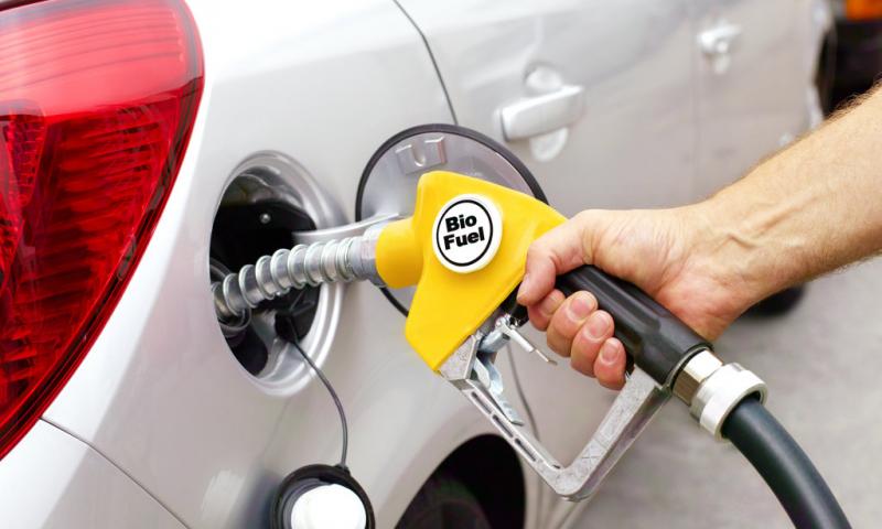 Natural Gas Vehicles (NGVs)