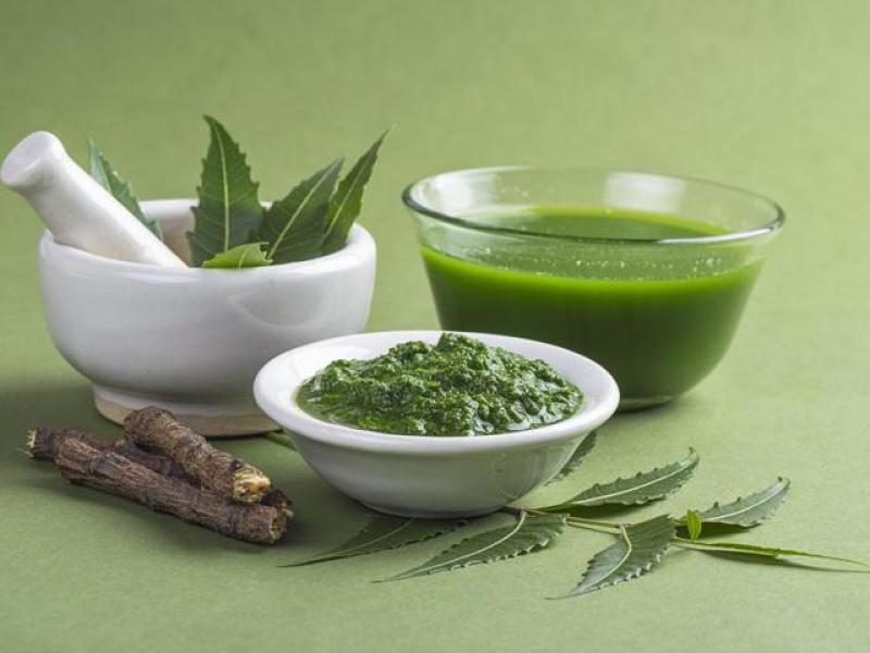 Neem Extract Market