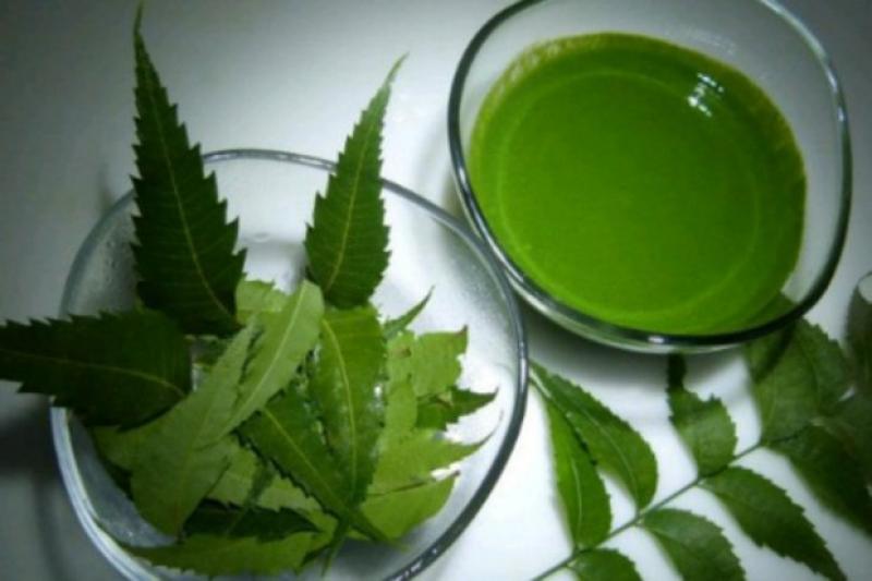 Neem Extract Market Neem Extract Market