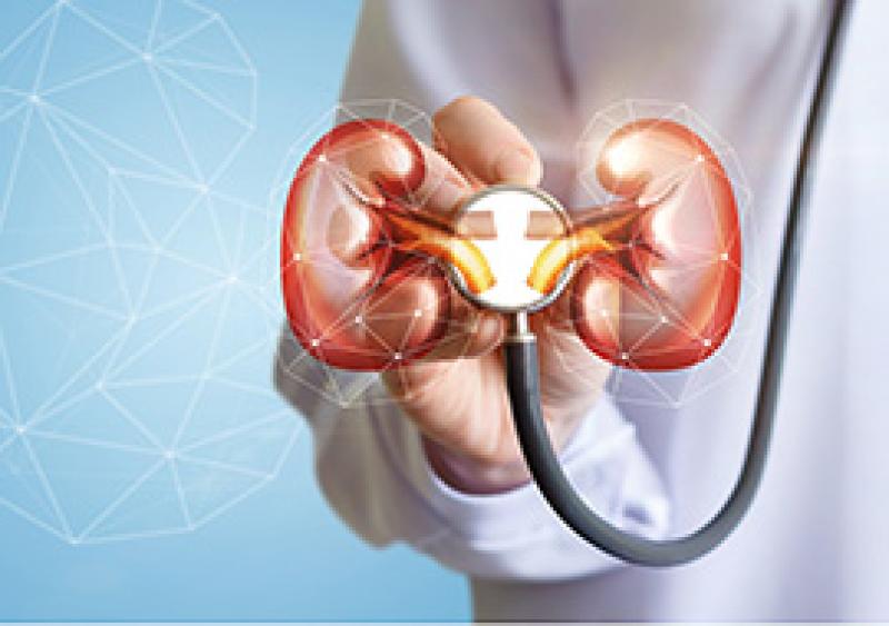 Nephrology And Urology Devices