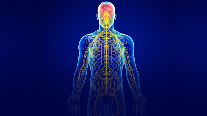 Central Nervous System Biomarkers Industry