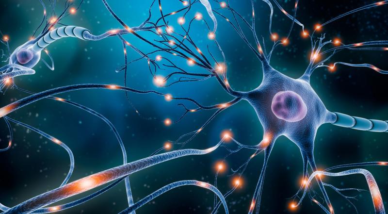 Neurological Biomarkers Market