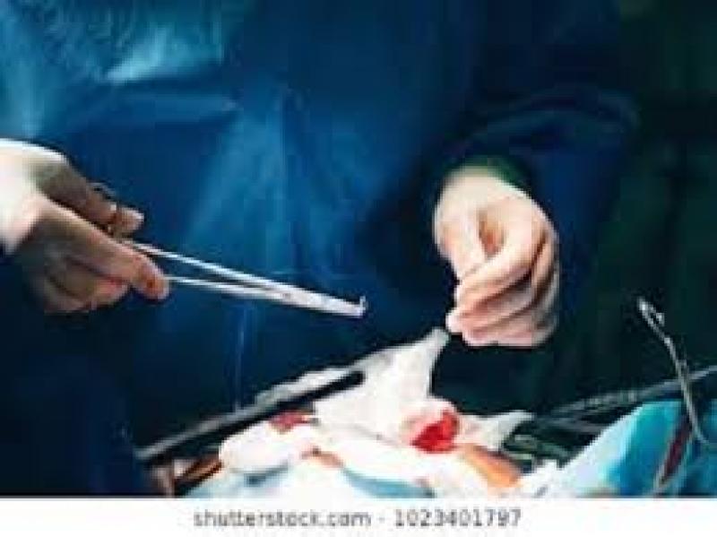 Non-Invasive Hemostatic Closure Devices Market