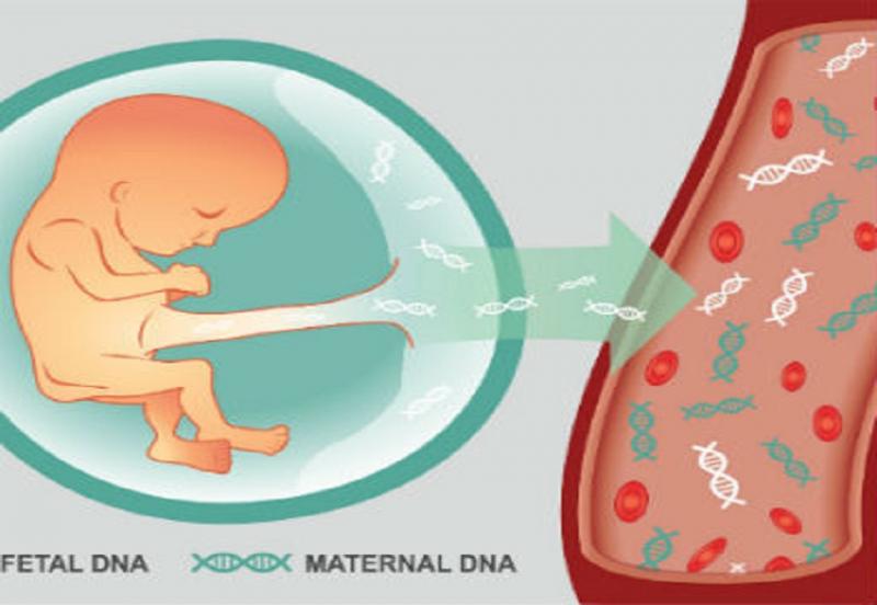 Non-Invasive Prenatal Testing (NIPT)